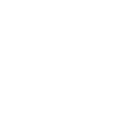 Taiga Revolution Ltd